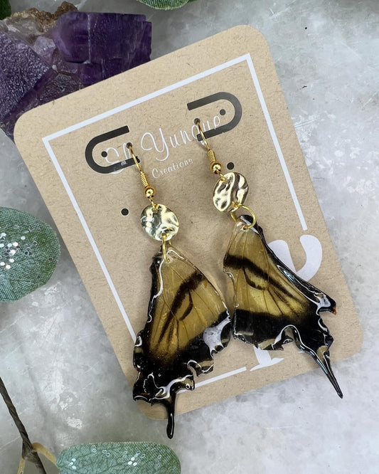 Real Butterfly Resin Lower Wings