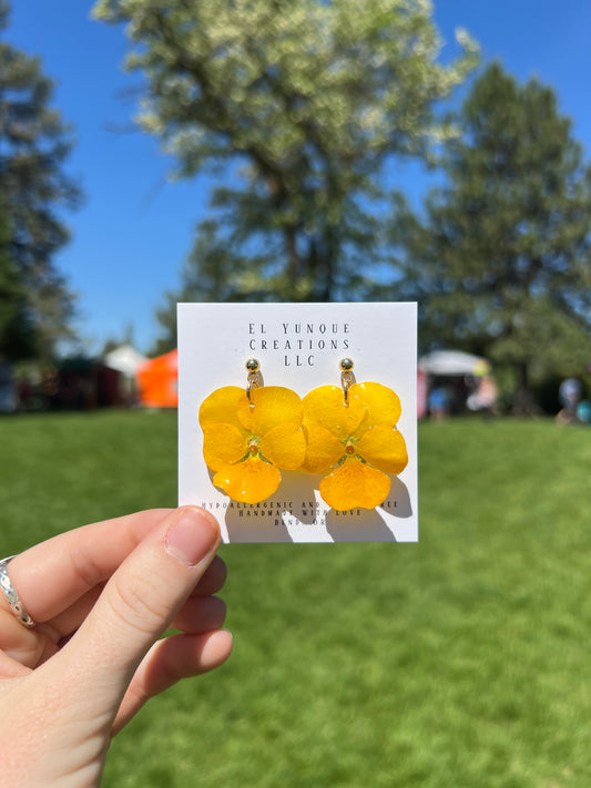 Real Yellow Viola Flower Earrings